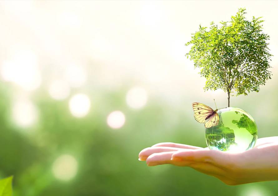 United Foods Sustainability