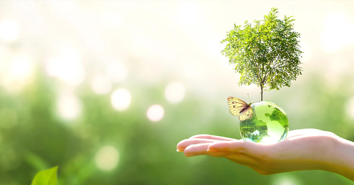 United Foods Sustainability
